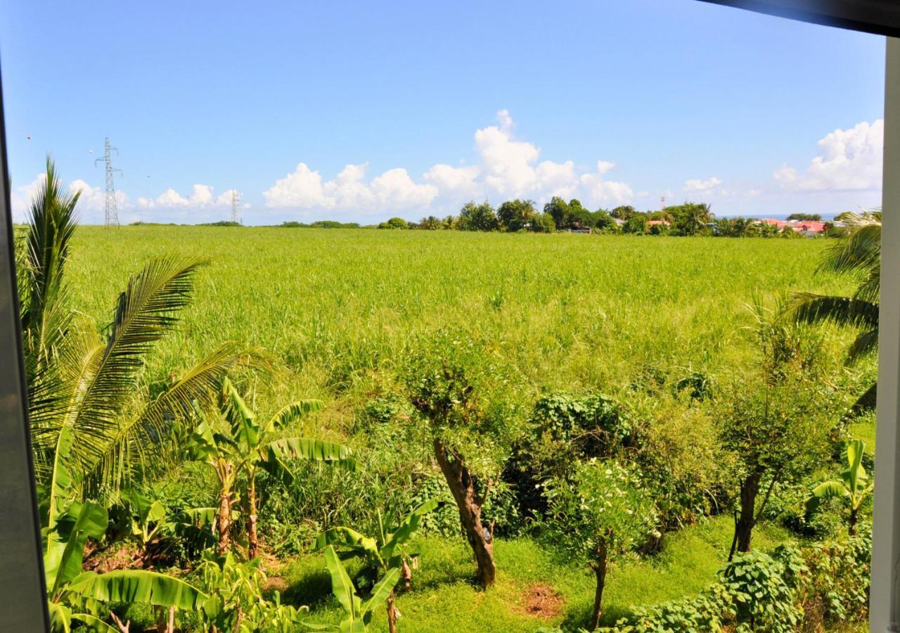 Reve D'Antan - Douceur Exotique Villa Capesterre Belle Eau Bagian luar foto